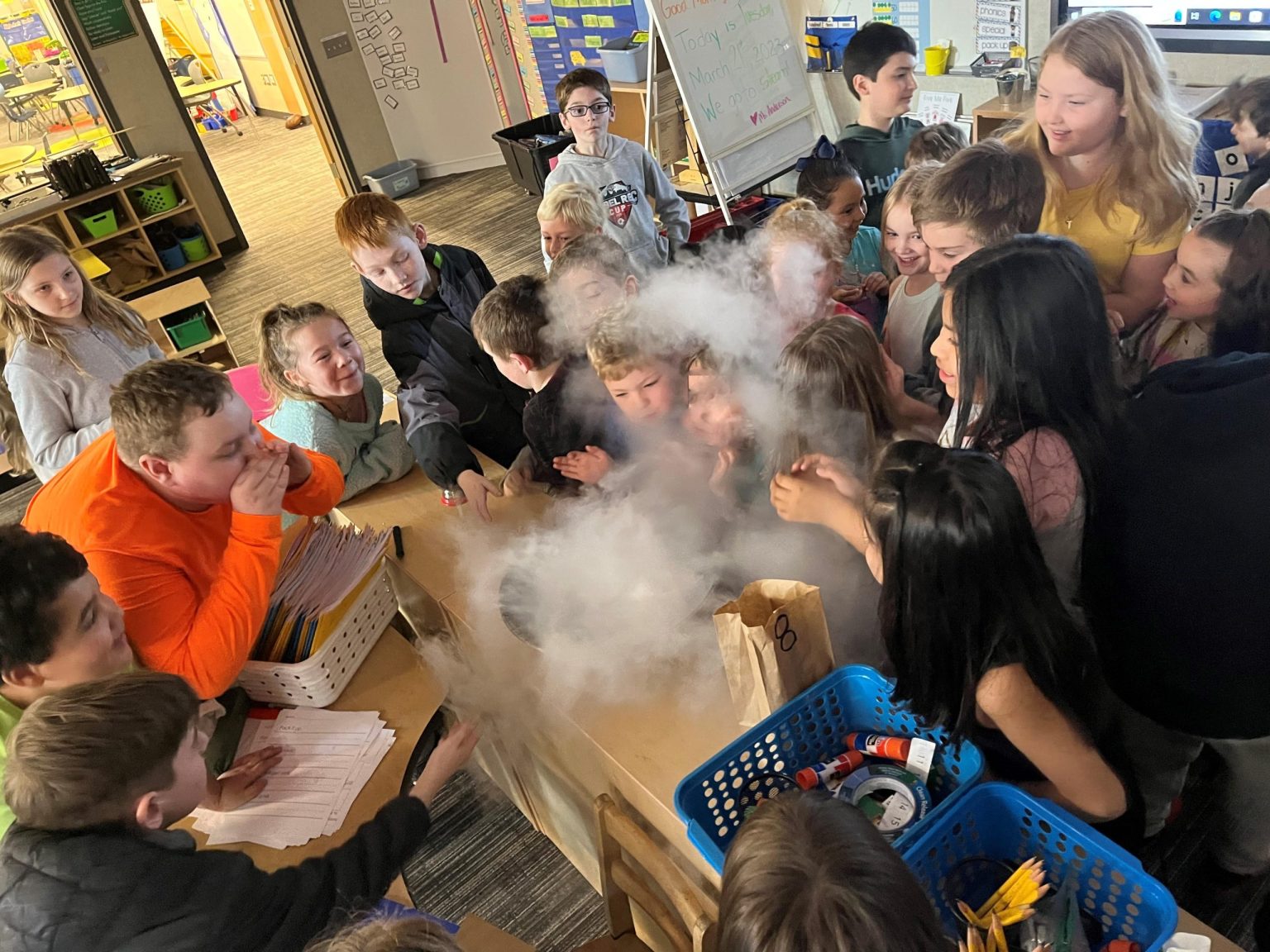 Sharing in the Science Fisher Elementary